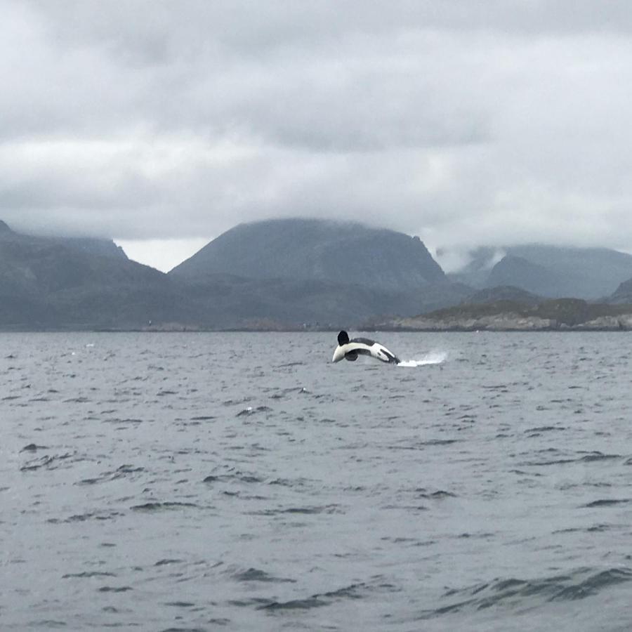 Fishermans Rorbu 1 - Lofoten Ramberg Buitenkant foto
